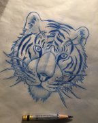 虎首纹身手稿