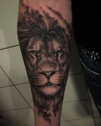 小臂写实狮子纹身图案
