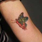 小臂彩色蝴蝶美女纹身图案