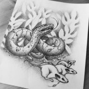 蛇老鼠纹身手稿