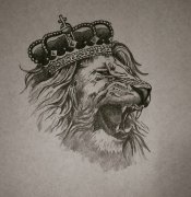 皇冠狮子纹身手稿